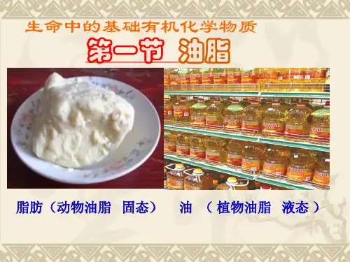 高三一轮复习-化学 油脂-