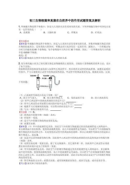 初三生物细菌和真菌在自然界中的作用试题答案及解析
