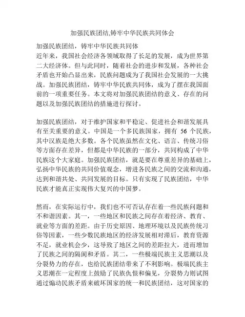 加强民族团结,铸牢中华民族共同体会