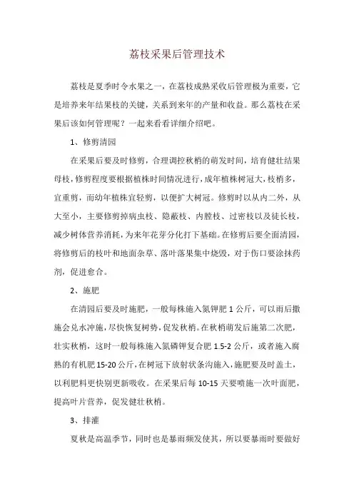 荔枝采果后管理技术