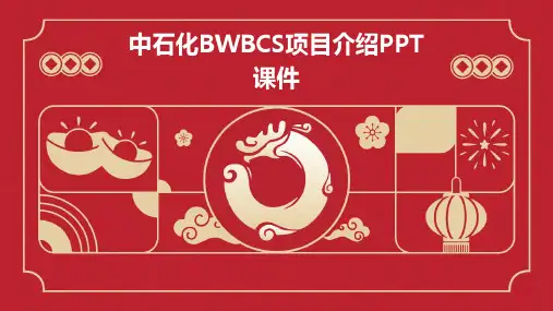 中石化BWBCS项目介绍PPT课件