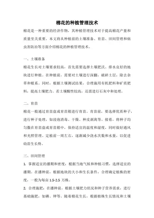 棉花的种植管理技术