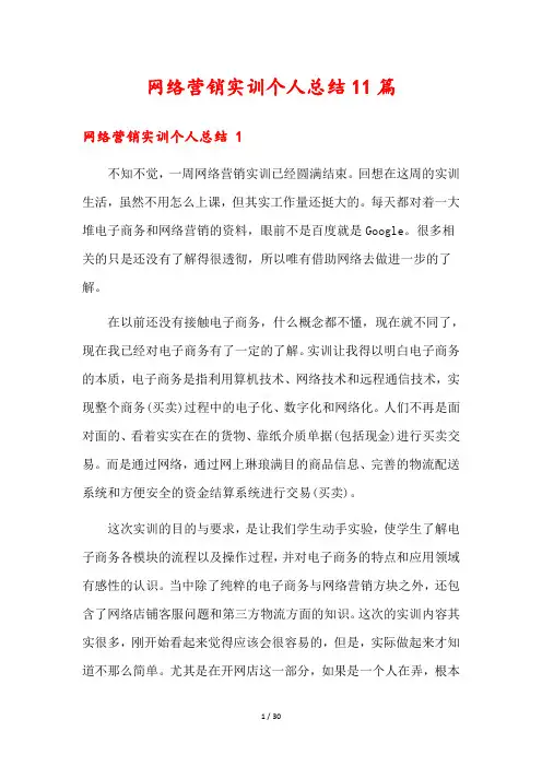网络营销实训个人总结11篇