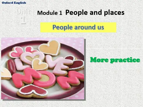 牛津深圳版英语七下Unit 1《People around us》(More practice)ppt复习课件