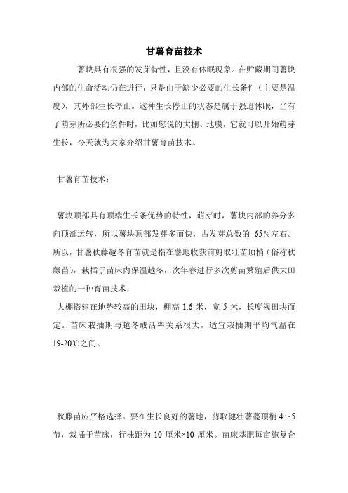 甘薯育苗技术.doc