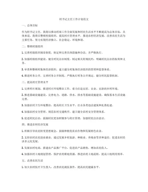 村书记主任工作计划范文
