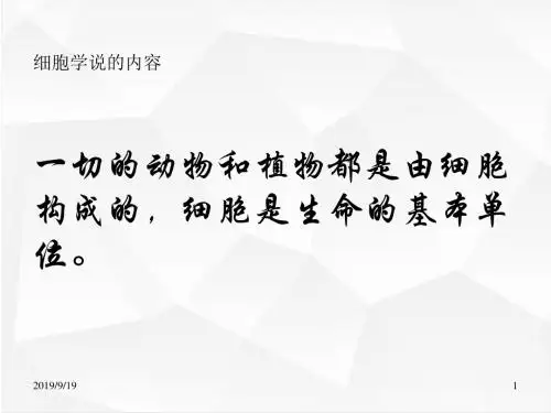 七年级科学课件 生物体层次结构