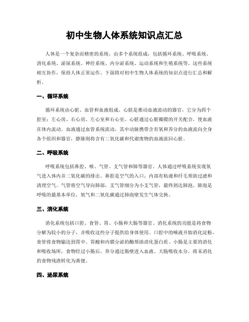 初中生物人体系统知识点汇总