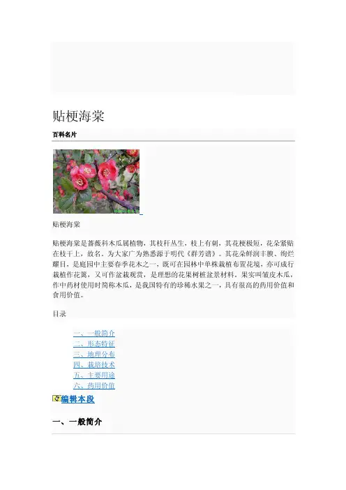 [经验]贴梗海棠