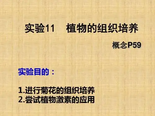 浙科版选修一 植物的组织培养 ( 课时) 名师制作优质课件 (14张)