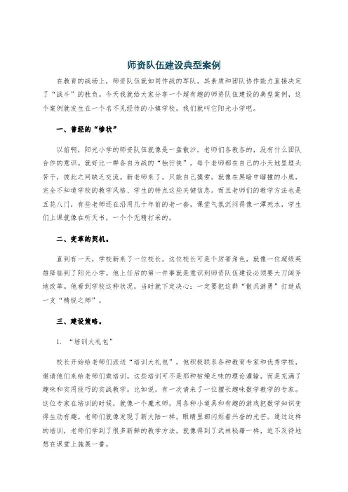 师资队伍建设典型案例