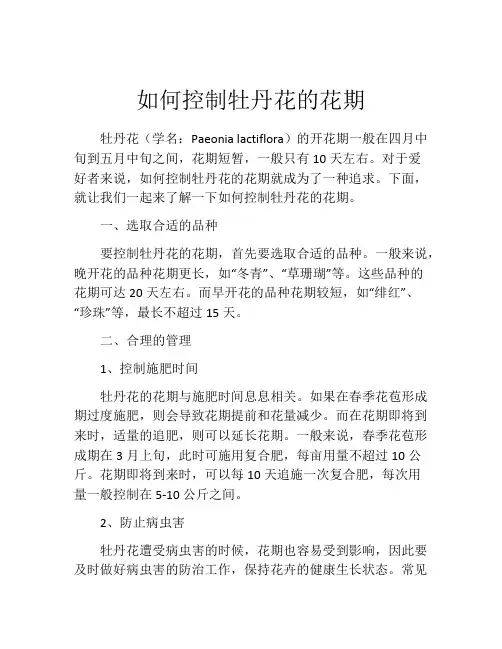 如何控制牡丹花的花期