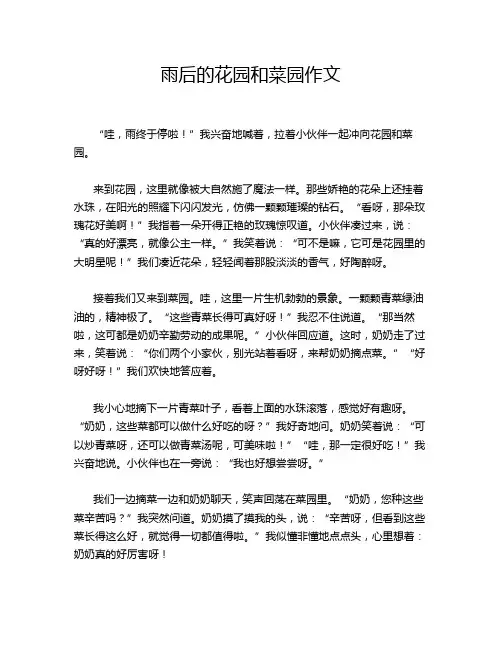 雨后的花园和菜园作文