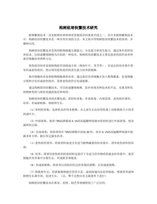 构树组培快繁技术研究