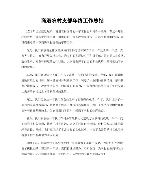 商洛农村支部年终工作总结