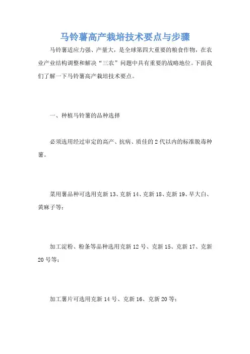 马铃薯高产栽培技术要点与步骤