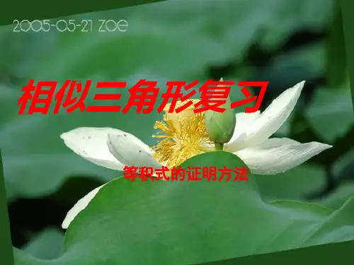 相似三角形复习——比例式、等积式的几种常见证明方法
