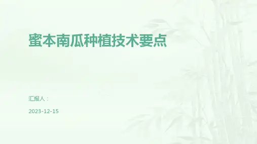 蜜本南瓜种植技术要点