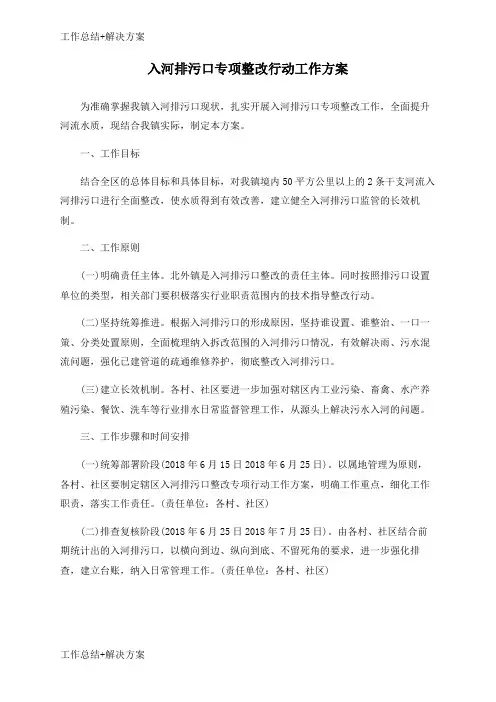 【方案+总结】入河排污口专项整改行动工作方案