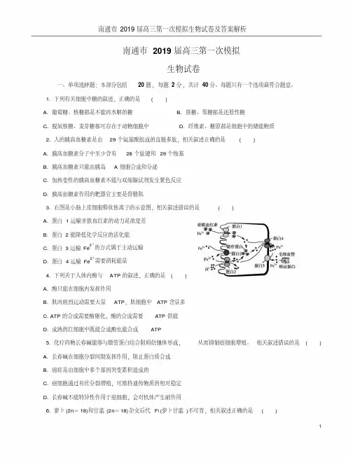 南通市2019届高三第一次模拟生物试卷及答案解析