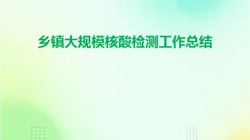 乡镇大规模核酸检测工作总结PPT