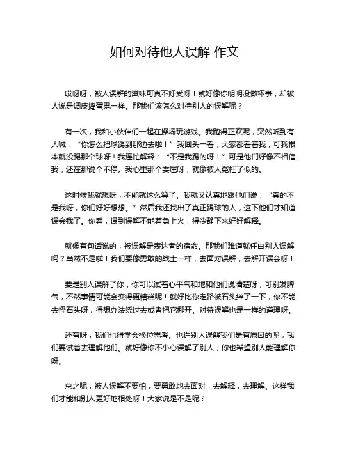 如何对待他人误解 作文