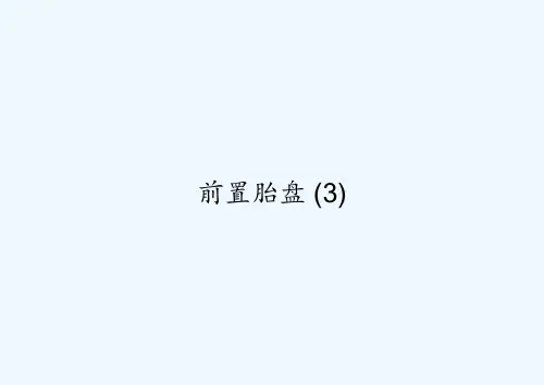 前置胎盘-(3)-PPT
