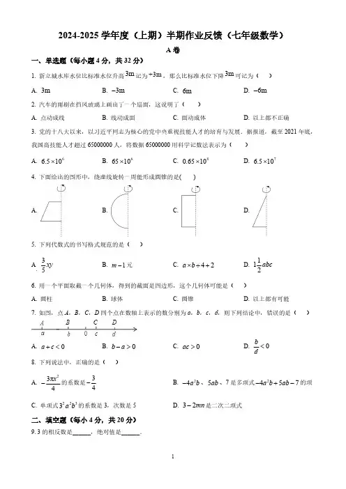 四川省成都市树德实验中学 2024-2025学年七年级上学期期中数学试卷