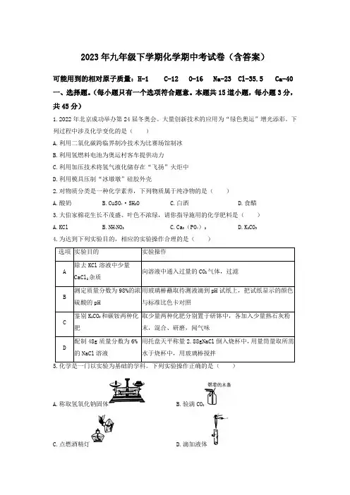 2023年九年级下学期化学期中考试卷(含答案)