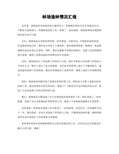 林场造林情况汇报