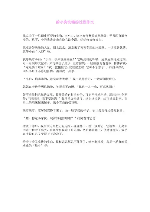给小狗洗澡的过程作文
