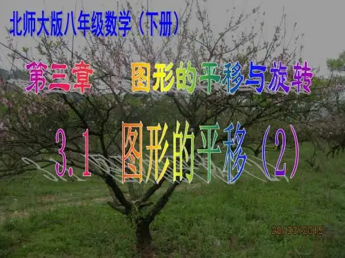 3.1图形的平移课件(2)