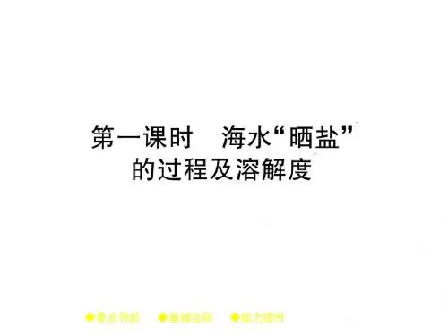 九年级化学下册(鲁教版)教学课件第8单元 第二节 第一