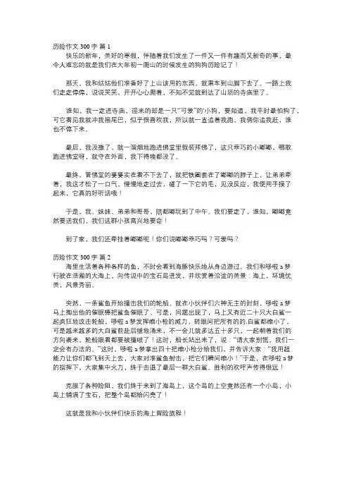 冒险历险记作文300字