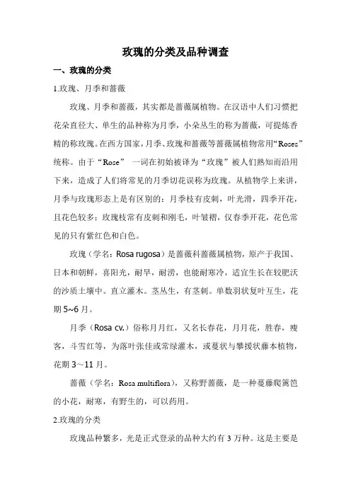玫瑰的分类及品种调查