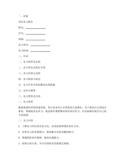 项目实习报告模板