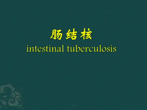 肠结核及结核性腹膜炎PPT课件