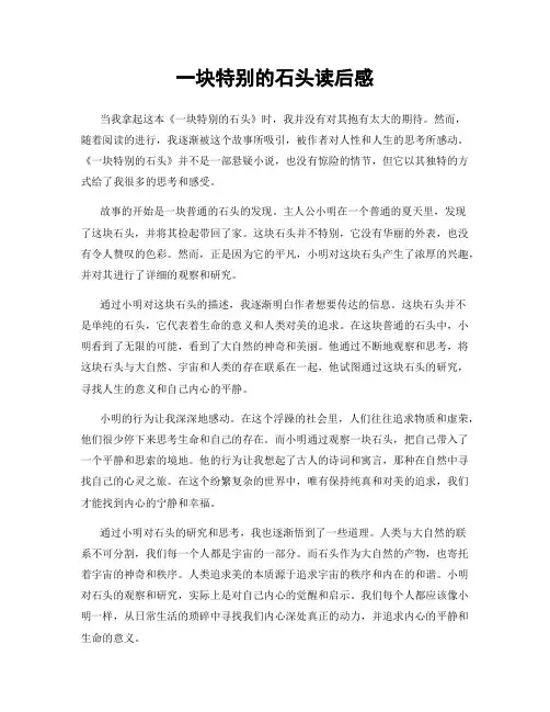 一块特别的石头读后感
