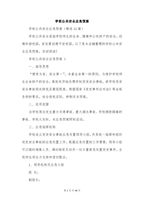 学校公共安全应急预案