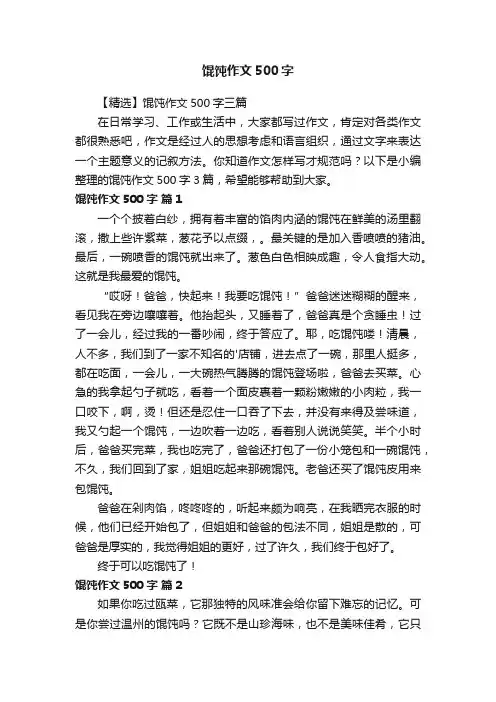 【精选】馄饨作文500字三篇
