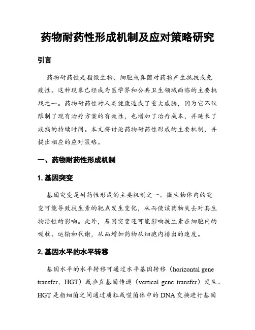 药物耐药性形成机制及应对策略研究