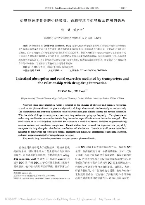 药物转运体介导的小肠吸收_肾脏排泄与药物相互作用的关系_张健