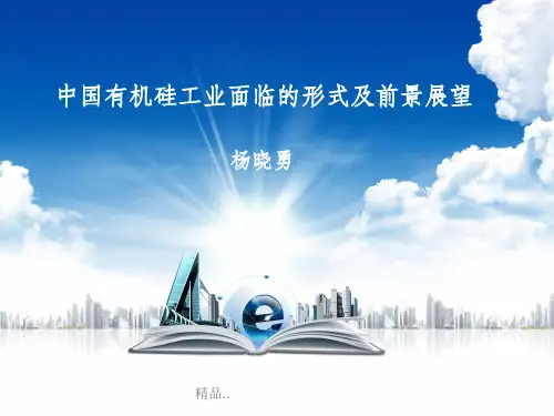 有机硅工业现状及前景(杨晓勇)
