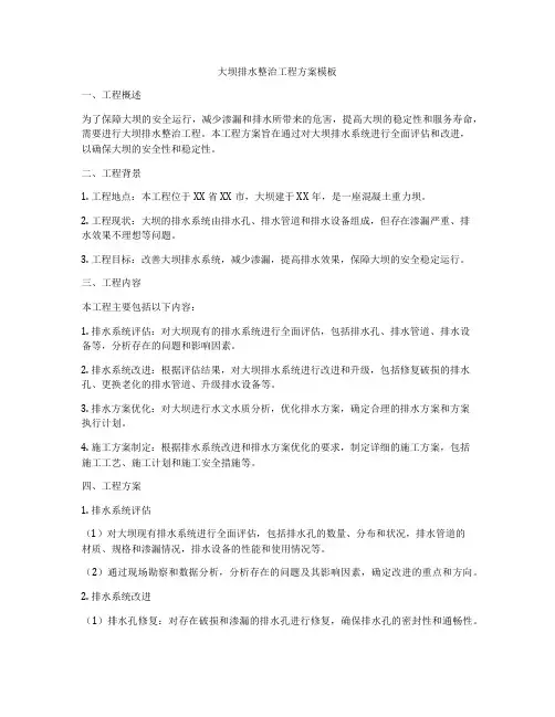 大坝排水整治工程方案模板