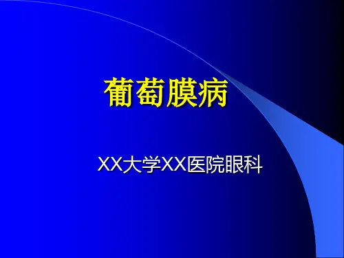 眼科葡萄膜病培训教材