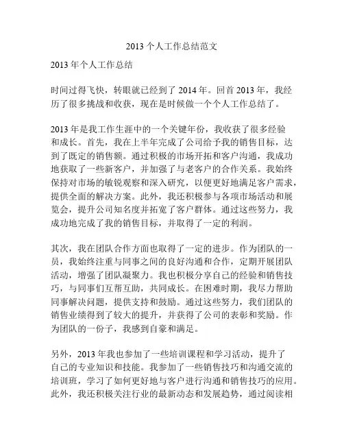 2013个人工作总结范文