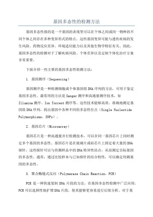 基因多态性的检测方法