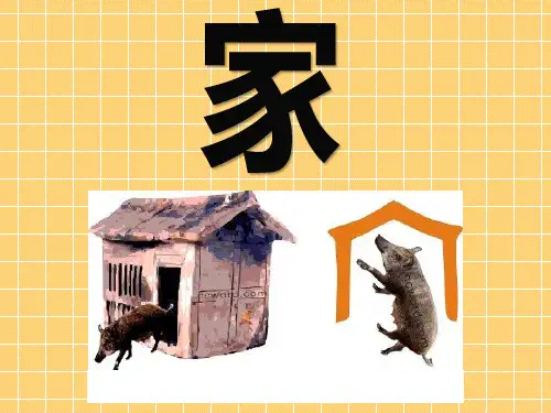 我的一家人PPT课件