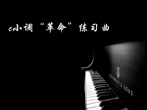 c小调(“革命”)练习曲