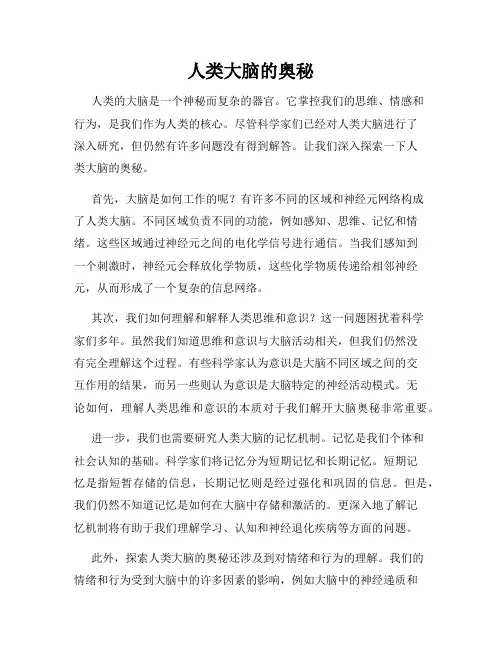 人类大脑的奥秘